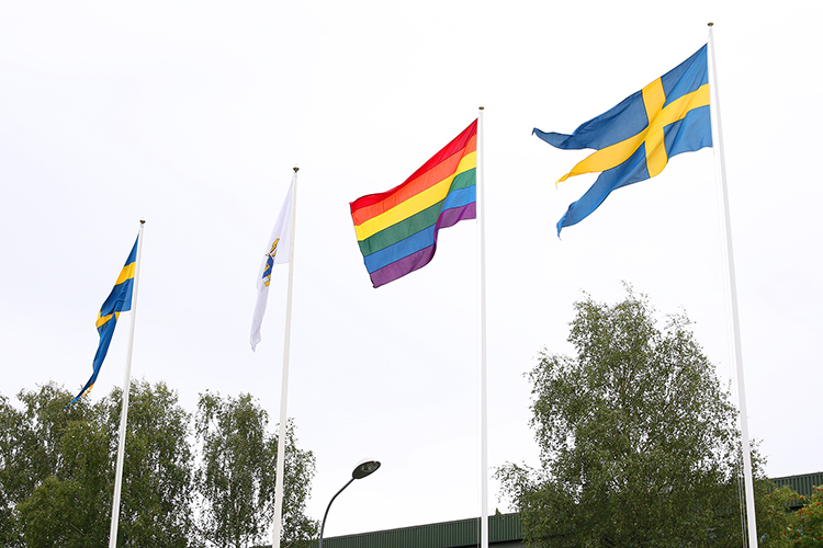Fyra flaggstänger på rad med en FRA-flagga och en regnbågsflagga omgivna av två Sverigeflaggor.