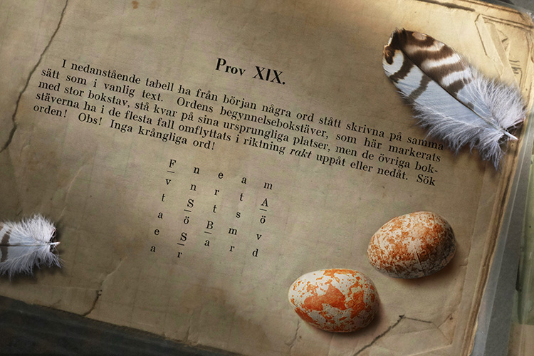 Uppgiften på gulnat papper. Prytt av fågelägg och fjädrar.