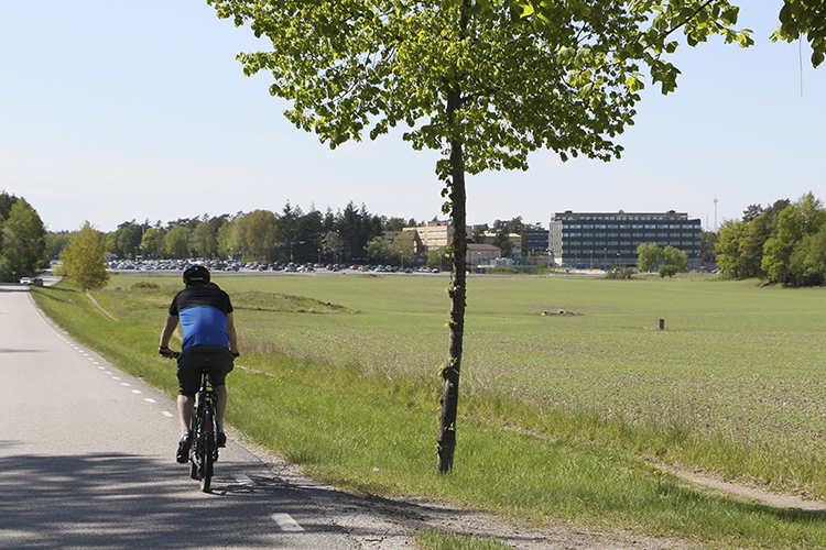 En cyklist på landsbygdsväg på väg bortåt mot bebyggelse bortanför ett grönt fält.